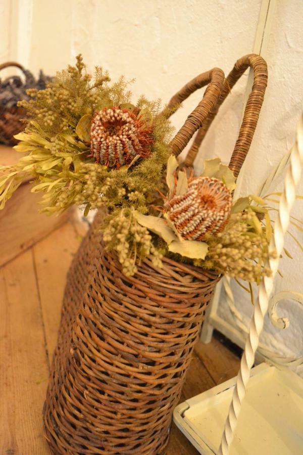 La Maison Des Buis Фалез Екстериор снимка
